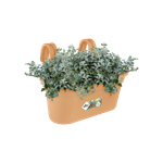 green basics easy hanger large mild terra